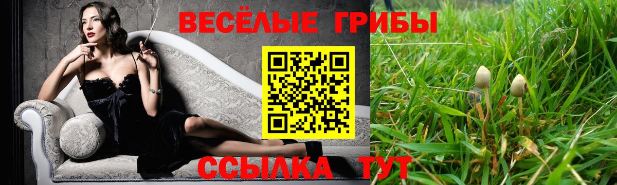 Галлюциногенные грибы Psilocybine cubensis Киров