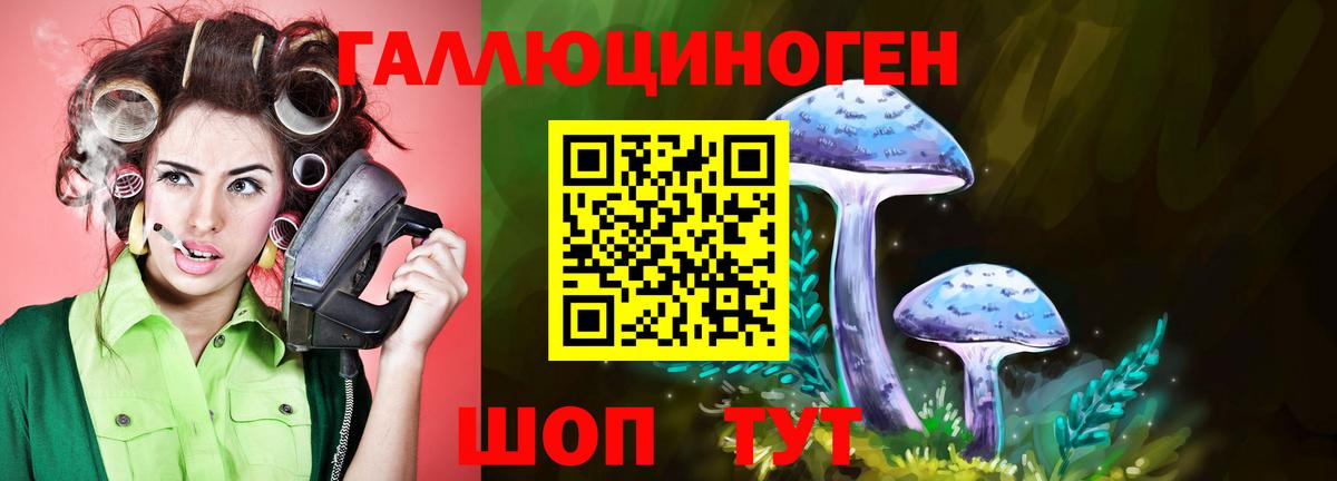 купить  сайты  Галлюциногенные грибы мицелий  Вход с VPN  Киров 
